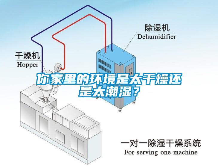 你家里的環境是太干燥還是太潮濕？