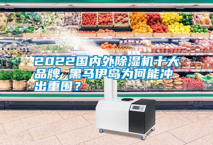 2022國(guó)內(nèi)外除濕機(jī)十大品牌 黑馬伊島為何能沖出重圍？