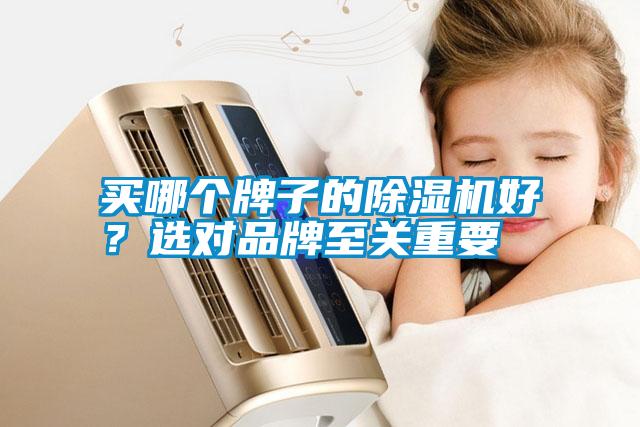 買哪個牌子的除濕機好？選對品牌至關重要