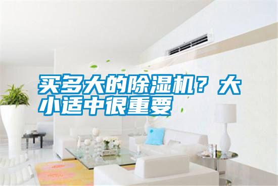 買多大的除濕機(jī)？大小適中很重要