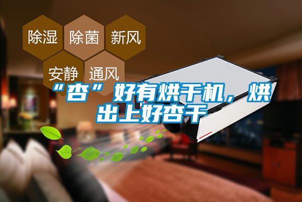 “杏”好有烘干機，烘出上好杏干