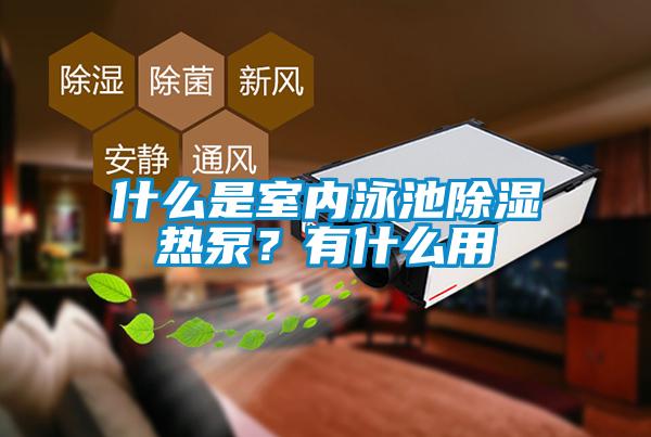 什么是室內泳池除濕熱泵？有什么用