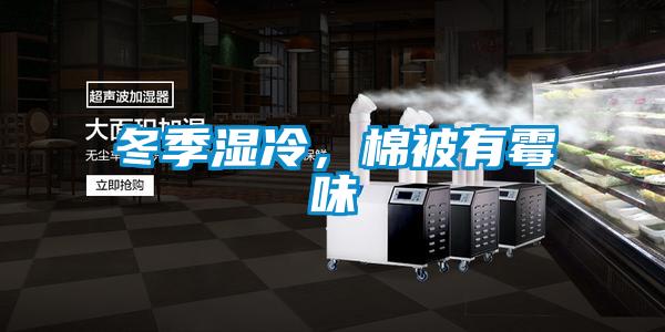 冬季濕冷，棉被有霉味