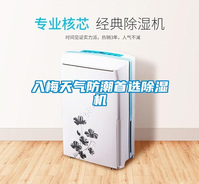 入梅天氣防潮首選除濕機