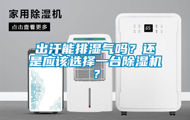 出汗能排濕氣嗎？還是應該選擇一臺除濕機？