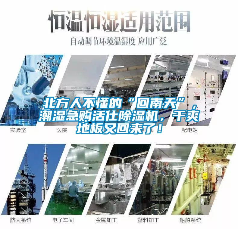 北方人不懂的“回南天”，潮濕急購活仕除濕機，干爽地板又回來了！