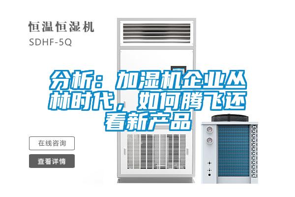 分析：加濕機企業叢林時代，如何騰飛還看新產品