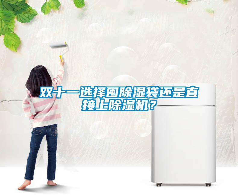 雙十一選擇囤除濕袋還是直接上除濕機(jī)？