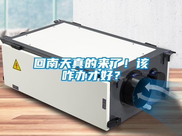 回南天真的來了！該咋辦才好？