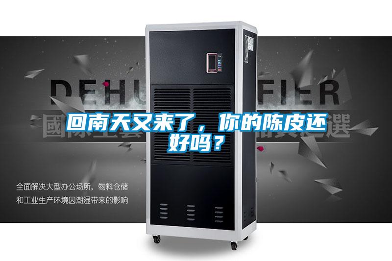 回南天又來了，你的陳皮還好嗎？