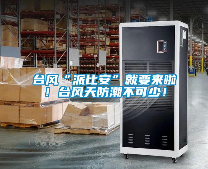臺風“派比安”就要來啦！臺風天防潮不可少！