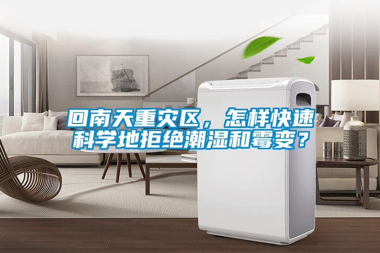 回南天重災(zāi)區(qū)，怎樣快速科學(xué)地拒絕潮濕和霉變？