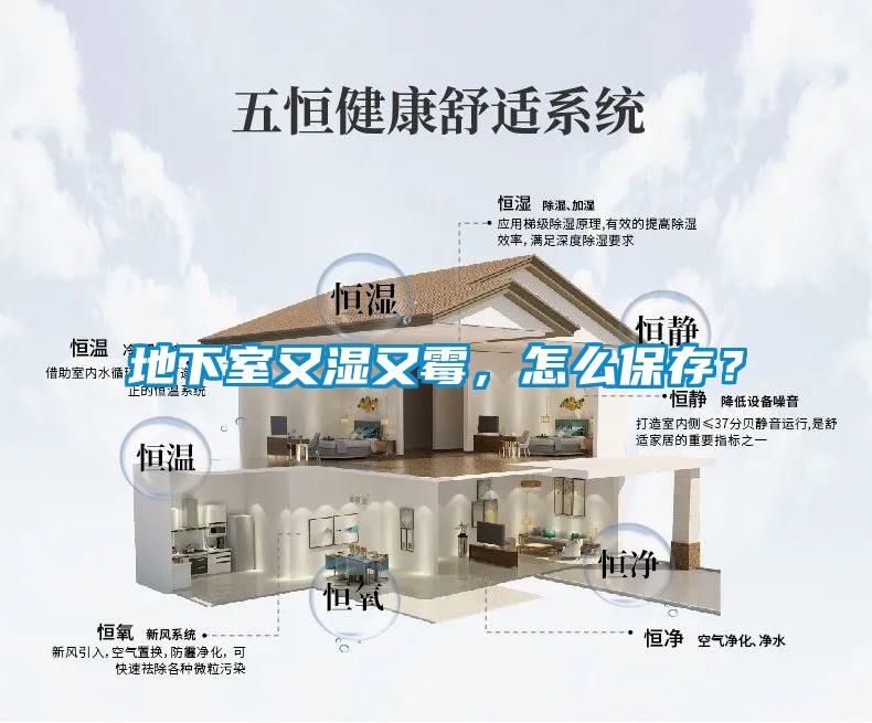 地下室又濕又霉，怎么保存？