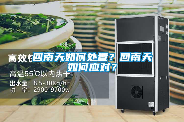 回南天如何處置？回南天如何應對？