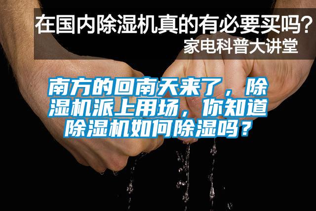 南方的回南天來了，除濕機派上用場，你知道除濕機如何除濕嗎？