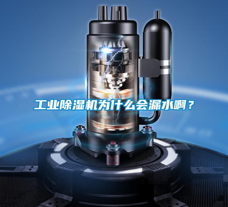 工業除濕機為什么會漏水?。?/></p>
						    <p style=