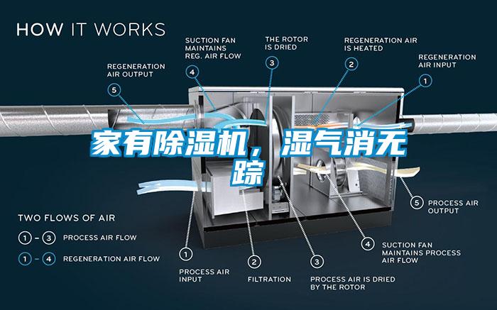 家有除濕機，濕氣消無蹤
