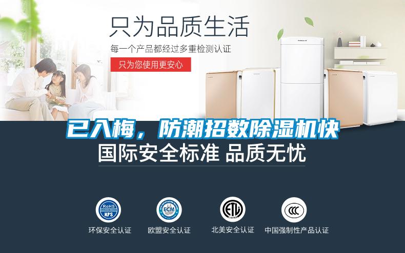 已入梅，防潮招數除濕機快