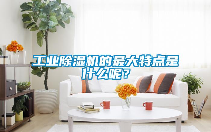 工業(yè)除濕機的最大特點是什么呢？
