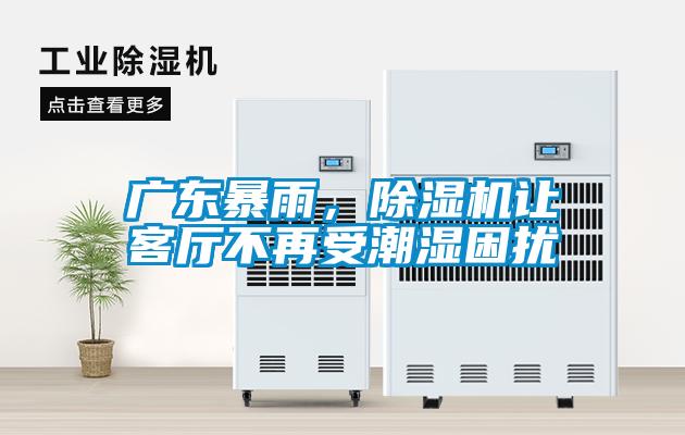 廣東暴雨，除濕機讓客廳不再受潮濕困擾