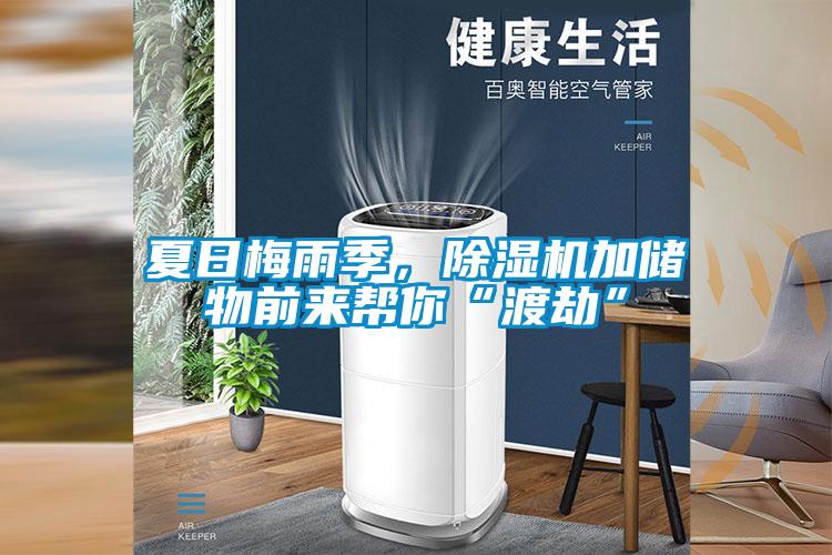 夏日梅雨季，除濕機(jī)加儲(chǔ)物前來幫你“渡劫”
