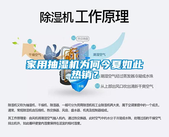 家用抽濕機(jī)為何今夏如此熱銷？