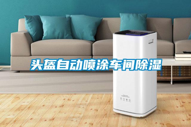 頭盔自動(dòng)噴涂車(chē)間除濕