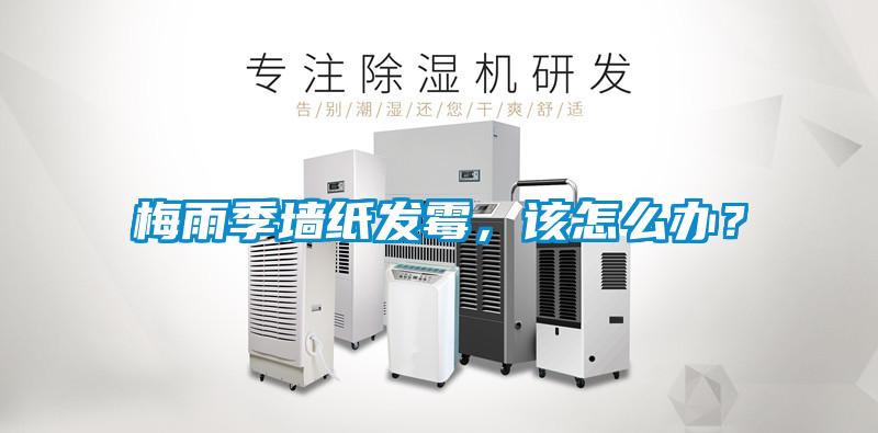 梅雨季墻紙發霉，該怎么辦？