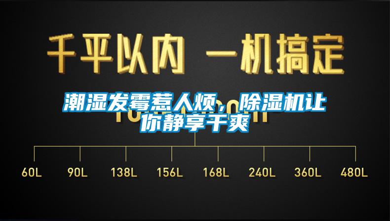 潮濕發(fā)霉惹人煩，除濕機(jī)讓你靜享干爽