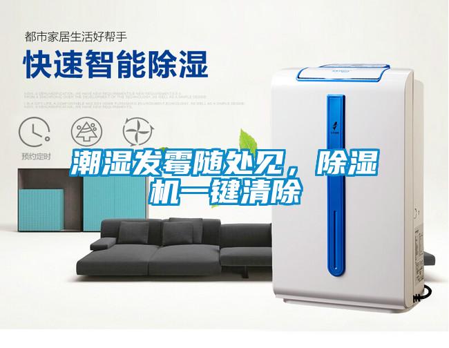 潮濕發霉隨處見，除濕機一鍵清除