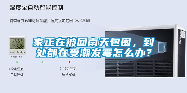 家正在被回南天包圍，到處都在受潮發(fā)霉怎么辦？
