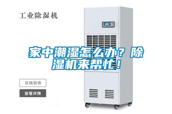 家中潮濕怎么辦？除濕機來幫忙！