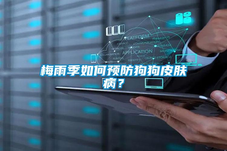 梅雨季如何預(yù)防狗狗皮膚病？