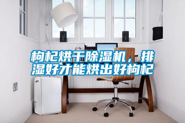 枸杞烘干除濕機(jī)，排濕好才能烘出好枸杞