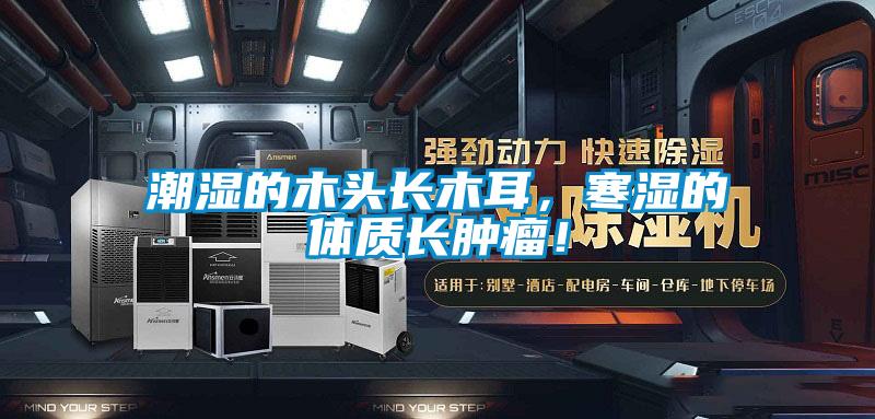 潮濕的木頭長(zhǎng)木耳，寒濕的體質(zhì)長(zhǎng)腫瘤！