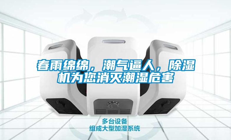 春雨綿綿，潮氣逼人，除濕機為您消滅潮濕危害