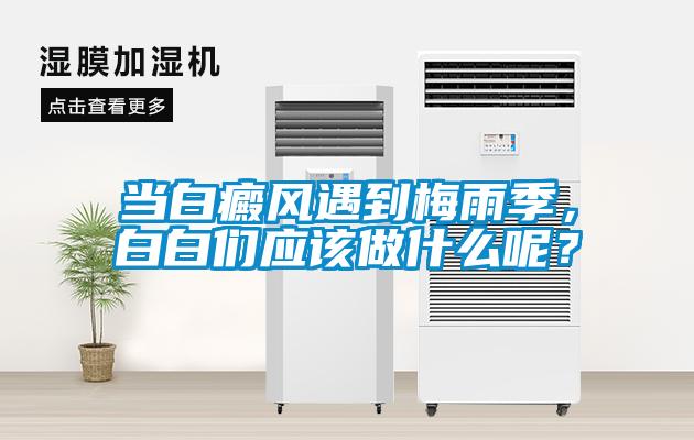 當白癜風遇到梅雨季，白白們應該做什么呢？