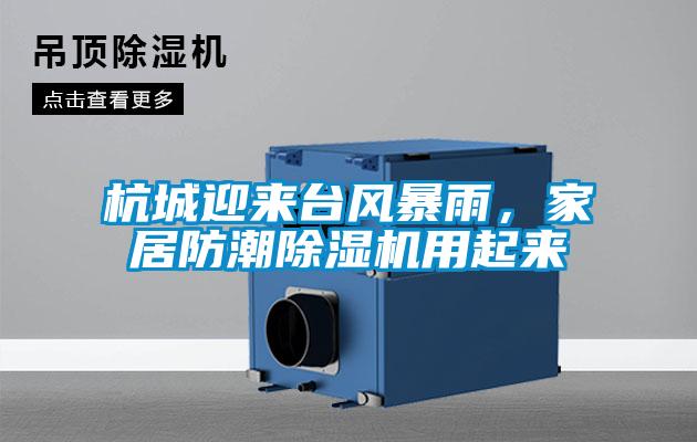 杭城迎來臺風暴雨，家居防潮除濕機用起來