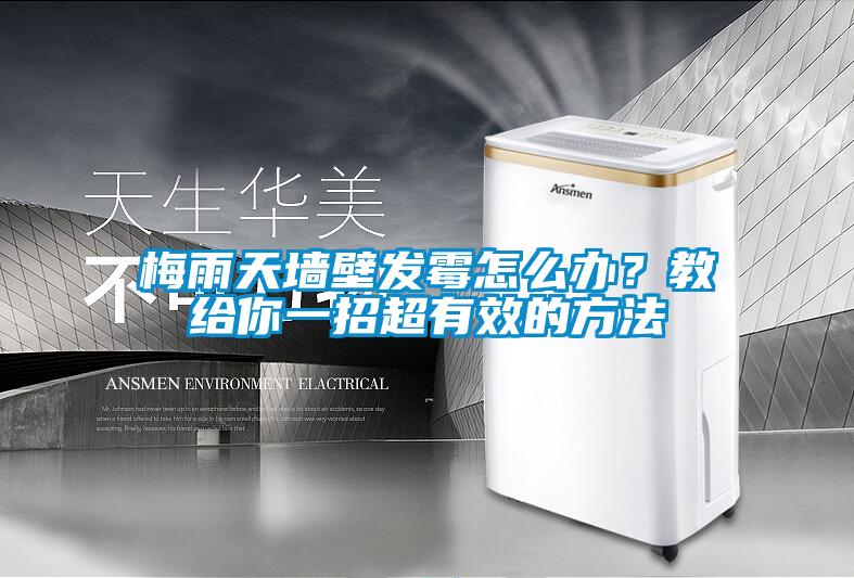 梅雨天墻壁發霉怎么辦？教給你一招超有效的方法