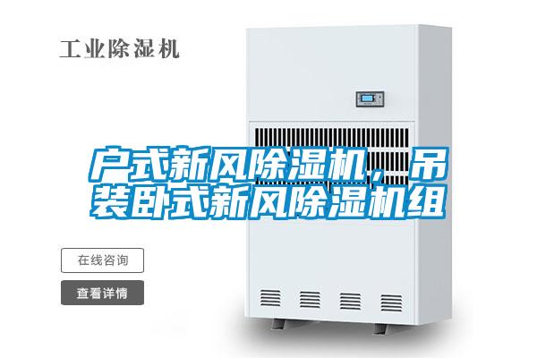 戶式新風除濕機，吊裝臥式新風除濕機組