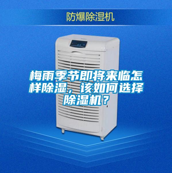梅雨季節即將來臨怎樣除濕，該如何選擇除濕機？