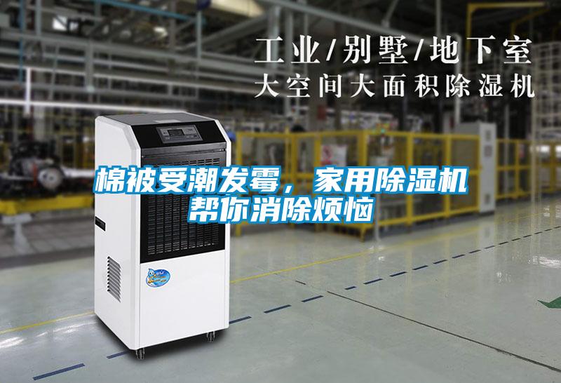棉被受潮發霉，家用除濕機幫你消除煩惱