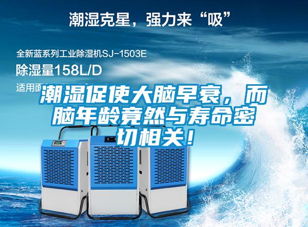 潮濕促使大腦早衰，而腦年齡竟然與壽命密切相關！