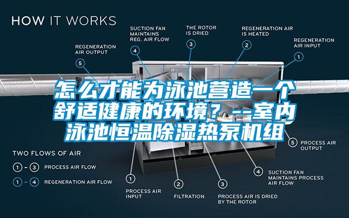 怎么才能為泳池營造一個舒適健康的環境？--室內泳池恒溫除濕熱泵機組