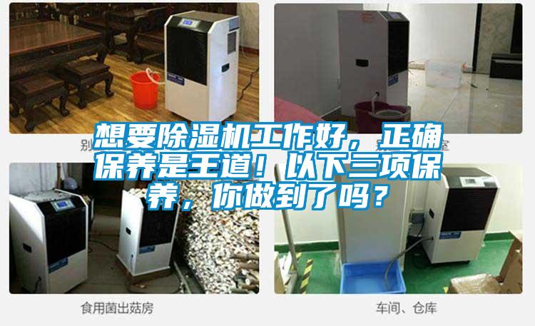 想要除濕機(jī)工作好，正確保養(yǎng)是王道！以下三項(xiàng)保養(yǎng)，你做到了嗎？