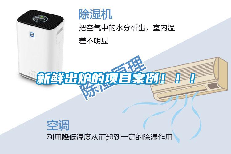 新鮮出爐的項(xiàng)目案例！！！