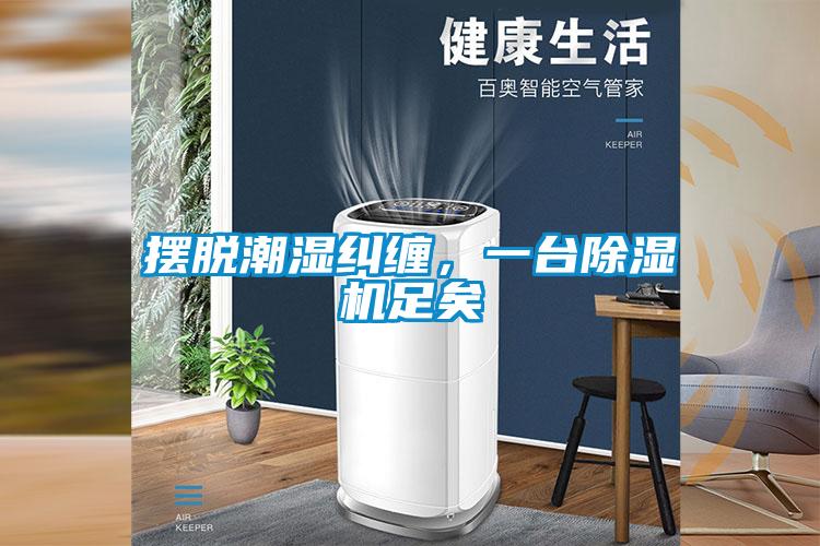 擺脫潮濕糾纏，一臺(tái)除濕機(jī)足矣