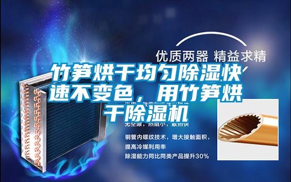 竹筍烘干均勻除濕快速不變色，用竹筍烘干除濕機