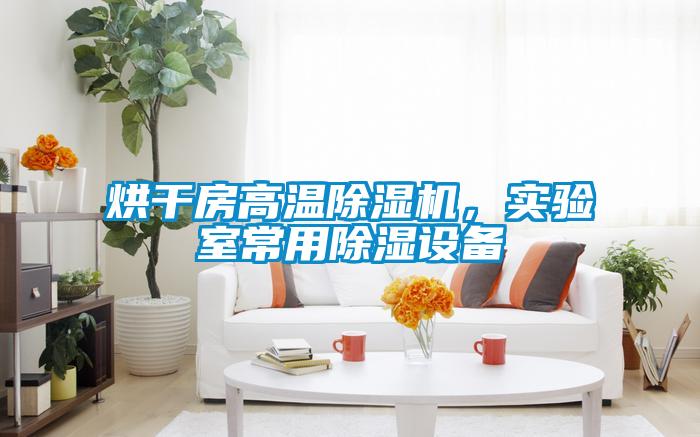 烘干房高溫除濕機(jī)，實(shí)驗(yàn)室常用除濕設(shè)備
