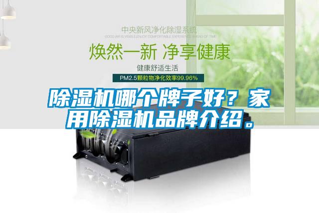 除濕機(jī)哪個(gè)牌子好？家用除濕機(jī)品牌介紹。